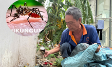 TPHCM giám sát 24/24 tại cửa khẩu và triển khai loạt biện pháp phòng Chikungunya, sốt xuất huyết