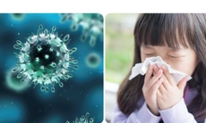 Một số triệu chứng ở người nghi ngờ mắc cúm A/H7N9