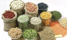 Dưỡng não bằng ‘thuốc bổ’ từ tự nhiên
