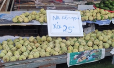 Na 'dởm' gắn mác Đồng Bành bán đầy chợ Việt, giá chỉ 20.000 đồng/kg