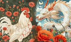 Tử vi 12 con giáp hôm nay 21/8: Tị dư dôi, Dần kinh doanh suôn sẻ