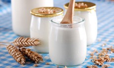 5 thực phẩm giúp tăng miễn dịch, phòng bệnh tuổi già