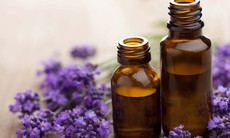 Cách nào giúp chống muỗi mà không gây hại?