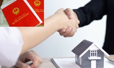 Các trường hợp không được nhận chuyển nhượng, tặng cho đất đai