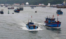 Khẩn trương kêu gọi tàu thuyền vào nơi tránh trú an toàn trước khi bão số 5 đổ bộ