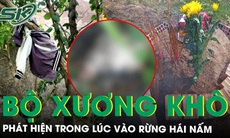 Đi hái nấm, người dân phát hiện bộ xương người phân hủy trong núi