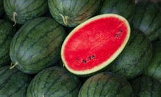 Các lợi ích sức khỏe không ngờ của dưa hấu