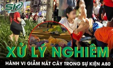 Sẽ xử lý nghiêm hành vi giẫm nát cây, vứt rác bừa bãi trong hai buổi tổng hợp luyện sự kiện A80