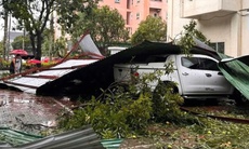 Cây đổ đè xe máy, ô tô… la liệt ở Nghệ An