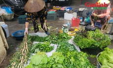 Rau xanh Hà Nội tăng giá gấp đôi vì ảnh hưởng bão số 5