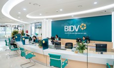 Yêu cầu BIDV Điện Biên báo cáo sau kết luận của Thanh tra Ngân hàng Nhà nước