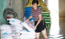 Ngậm ngùi nhìn 15 tấn phân bón chìm trong nước lũ, người dân bì bõm cứu vớt tài sản