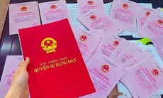Trình tự cấp sổ đỏ lần đầu đối với tổ chức đang sử dụng đất theo quy định mới