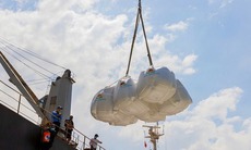 Giá gạo xuất khẩu của Việt Nam tăng lên mức gần cao nhất trong ba tháng