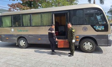 Rùa núi vàng, khỉ mặt đỏ cùng hàng loạt động vật quý hiếm được người dân giao nộp