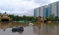 Lũ trên các sông dâng cao, cảnh báo ngập úng vùng trũng thấp Hà Nội