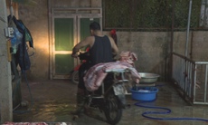 Cần siết chặt cơ sở giết mổ để phòng dịch tả lợn châu Phi lây lan