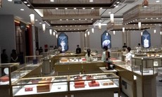 Cơ sở kinh doanh lớn ở Khánh Hòa do người nước ngoài điều hành nghi bán ngà voi, sừng tê giác 