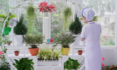 Cuộc thi 'Cơ sở y tế Xanh - Sạch - Đẹp' lần thứ I: Nỗ lực bền bỉ để hái quả ngọt