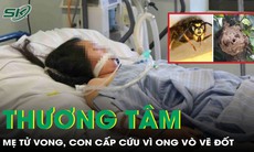Thương tâm: Mẹ tử vong, con 3 tuổi cấp cứu vì ong vò vẽ đốt 