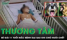Thương tâm: Bé gái 11 tuổi mắc bệnh dại sau khi chó nuôi chết bất thường
