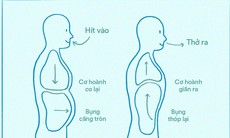 Cách dưỡng sinh giúp cơ thể khỏe mạnh, tinh thần thư thái trong mùa thu