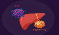 Điều trị đồng nhiễm HIV và viêm gan C, giúp giảm tổn thương gan