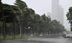 Nguy cơ Ragasa mạnh lên thành siêu bão khi áp sát Hong Kong (Trung Quốc)