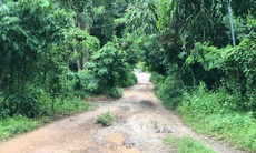 TPHCM: Con trai dùng dao sát hại mẹ, chém chị gái