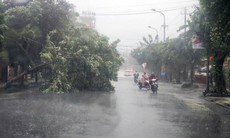 Triển khai gấp các biện pháp ứng phó với bão Ragasa