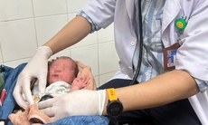 Phát hiện bé gái sơ sinh bị bỏ rơi trong vườn nhà dân