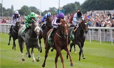 Đề xuất mở rộng việc đặt cược đua ngựa, đua chó và bóng đá quốc tế