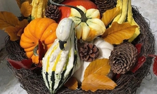 Nhiều người chi tiền triệu săn bí ngô 'độc lạ' về chơi Halloween