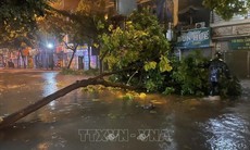 Hà Nội tập trung ứng phó bão số 10 và mưa lũ, sạt lở đất, lũ quét