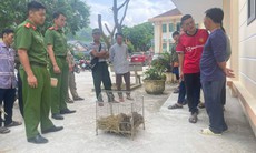 Đi làm nương, phát hiện động vật quý hiếm trong bao tải vứt ven đường