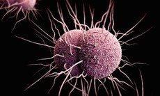 Bệnh lậu nguy hiểm như thế nào?