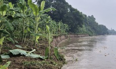 Thực hư thông tin 'vỡ đê Hữu Thao ở Phú Thọ' lan truyền trên mạng xã hội