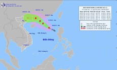 Áp thấp nhiệt đới đã mạnh lên thành bão số 7