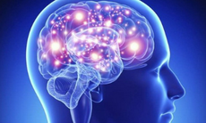 Bổ sung vitamin B – Bí quyết tăng cường năng lượng cho não bộ