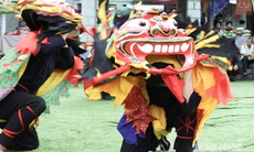 Độc đáo màn múa Sư tử mèo