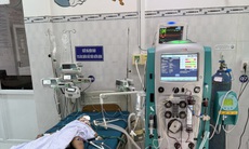 3 trẻ bị ong đốt, 1 cháu tử vong
