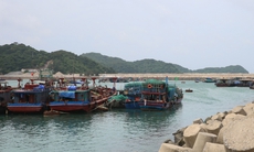 Bão số 7: Quảng Ninh tạm ngừng cấp phép tàu ra khơi một số khu vực biển từ 11h trưa 8/9