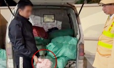 Chặn đứng gần 1 tấn chân gà bốc mùi hôi tanh đang trên đường vào nội thành dịp Tết