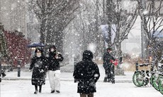 Tuyết rơi dày tại Hàn Quốc