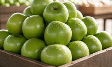 7 loại thực phẩm giúp đào thải axit uric tự nhiên: Giải pháp cho người bệnh gút