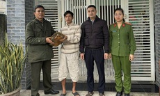 Phát hiện rùa quý hiếm nặng gần 7kg trong vườn, người dân tự nguyện giao nộp cơ quan chức năng