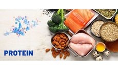 Vai trò của protein trong kiểm soát cân nặng