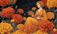 Tử vi 12 cung hoàng đạo hôm nay 14/1 - chi tiết tử vi 12 chòm sao ngày mới