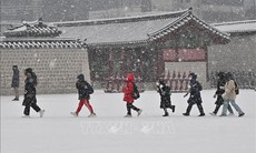 Hàn Quốc trải qua mùa Đông 'lạ'