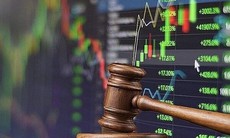 Ông Lê Đại Nghĩa giao dịch cổ phiếu TKC của Địa ốc Tân Kỷ trái luật